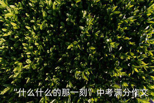 什么的那一刻,雨傘傘下的幸福
