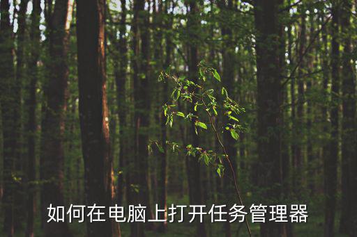 如何打開任務管理器,電腦如何打開任務管理器?