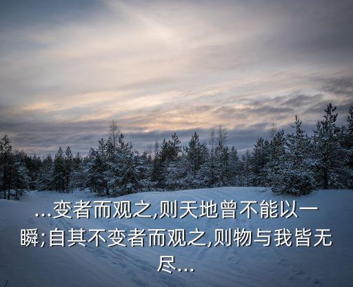 ...變者而觀之,則天地曾不能以一瞬;自其不變者而觀之,則物與我皆無盡...