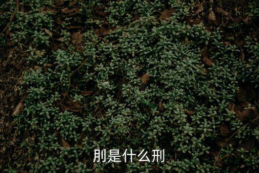 刖是什么刑