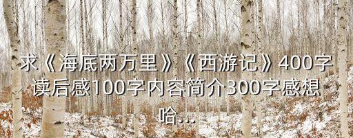 求《海底兩萬里》《西游記》400字讀后感100字內容簡介300字感想哈...