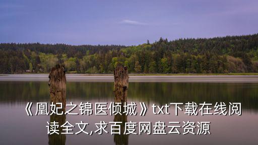 《凰妃之錦醫(yī)傾城》txt下載在線閱讀全文,求百度網(wǎng)盤(pán)云資源