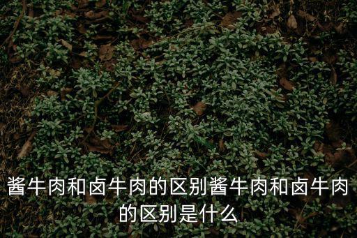 醬牛肉和鹵牛肉的區(qū)別醬牛肉和鹵牛肉的區(qū)別是什么