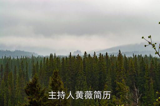 主持人黃薇簡歷