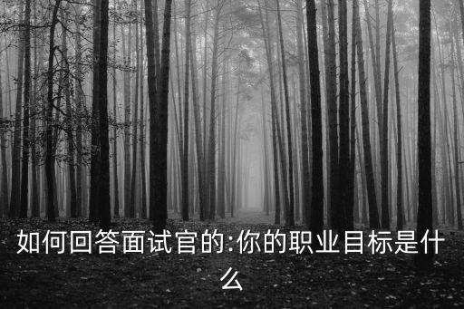 求職目標,求職意向是整篇簡歷靈魂