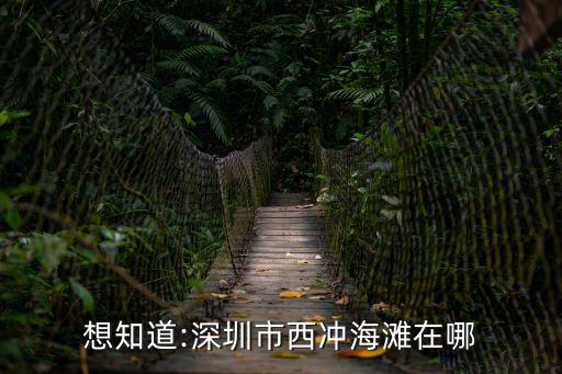 西沖沙灘,深圳南澳西沖沙灘求團體票和散客票