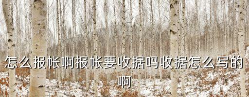 怎么報帳啊報帳要收據嗎收據怎么寫的啊