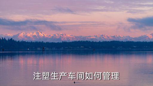 注塑車間管理,如何實現注塑機車間可視化管理?