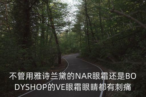不管用雅詩蘭黛的NAR眼霜還是BODYSHOP的VE眼霜眼睛都有刺痛