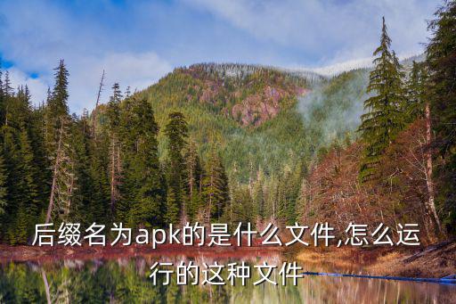 后綴名為apk的是什么文件,怎么運行的這種文件