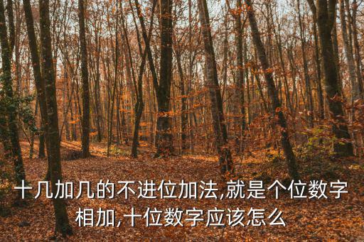 十幾加幾的不進(jìn)位加法,就是個(gè)位數(shù)字相加,十位數(shù)字應(yīng)該怎么