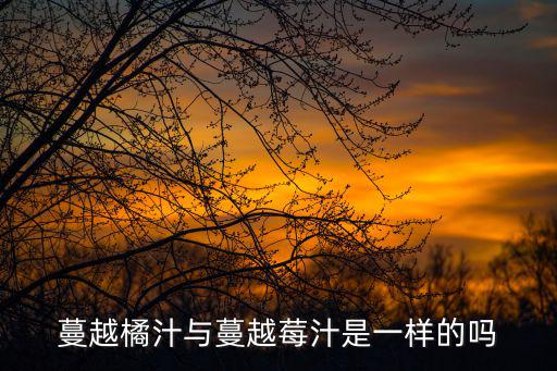 蔓越橘汁與蔓越莓汁是一樣的嗎