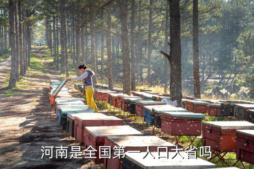 人口第一大省,人口普查:河南是全國第一人口?
