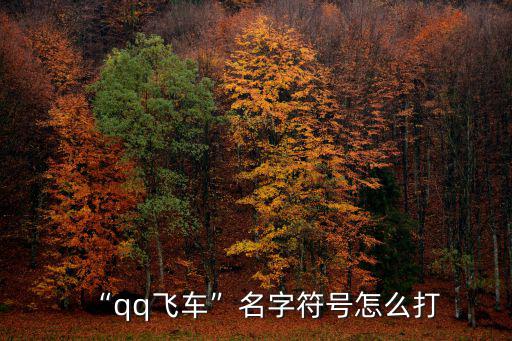qq飛車昵稱,qq飛車名字符號怎么打?