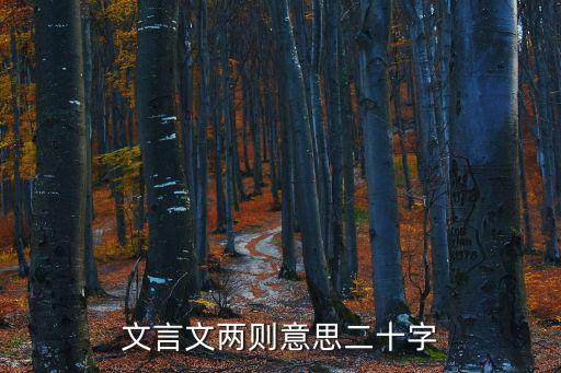 文言文兩則意思二十字