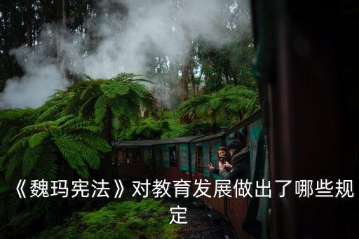 魏瑪憲法,魏瑪憲法首次以憲法形式納入基本人權范圍
