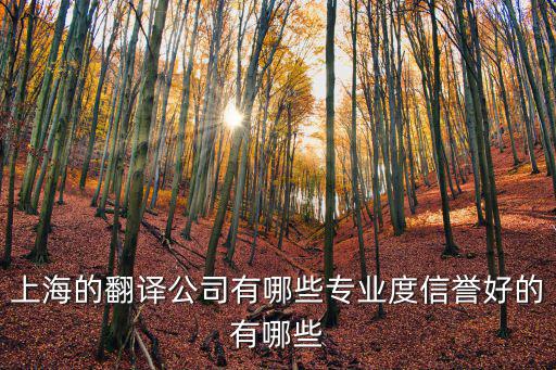 上海的翻譯公司有哪些專業(yè)度信譽好的有哪些
