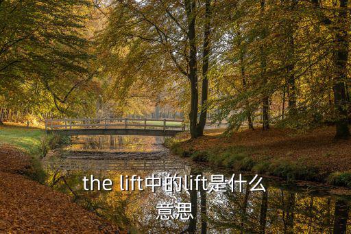 the lift中的lift是什么意思