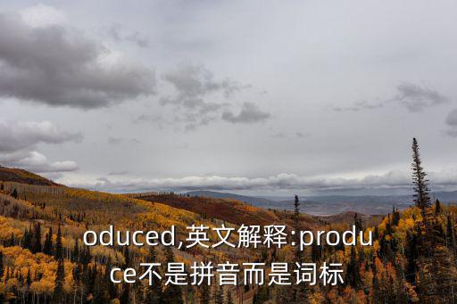 produced,英文解釋:produce不是拼音而是詞標