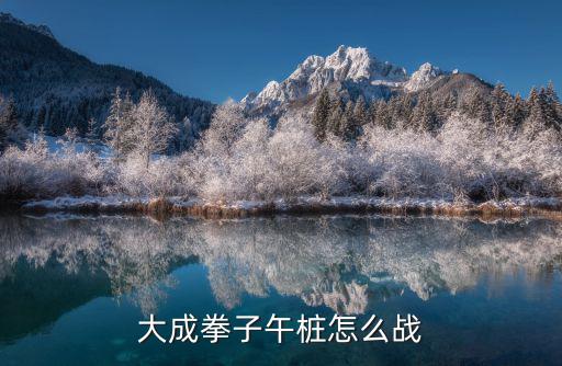 大成拳站樁,大成拳子午樁怎么練?站樁練拳擊