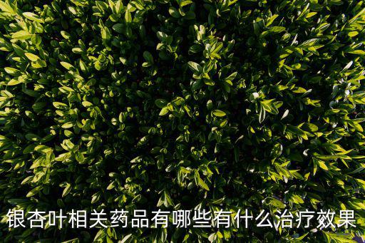 銀杏葉相關藥品有哪些有什么治療效果