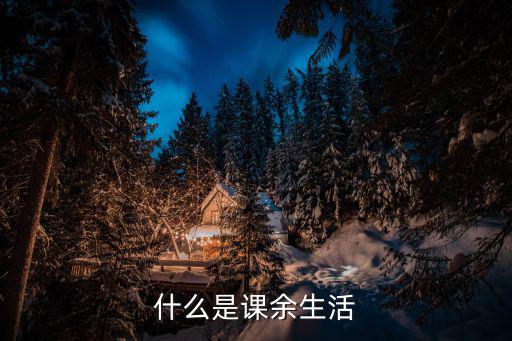 課余活動,學生課外活動的種類有哪些?
