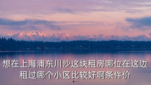 川沙哪個小區(qū)房價最高，為什么上海浦東川沙的綠地東海岸房價這么低
