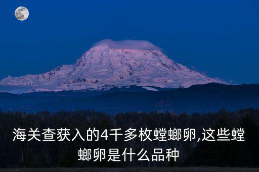 海關查獲入的4千多枚螳螂卵,這些螳螂卵是什么品種
