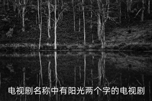 守候陽光,《守候陽光》第二部陽光作品