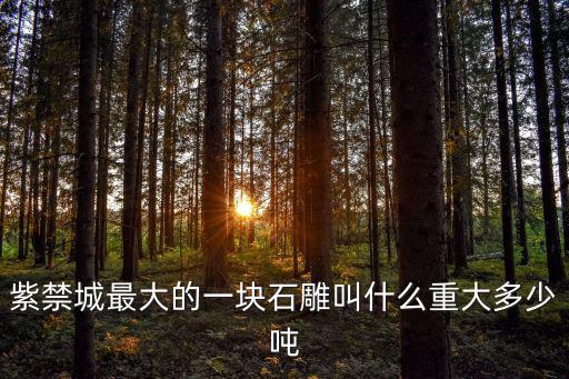 最大的雕,紫禁城最大的石雕有九條巨龍出沒云云之間