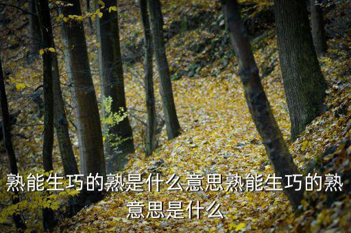 熟能生巧的熟是什么意思熟能生巧的熟意思是什么