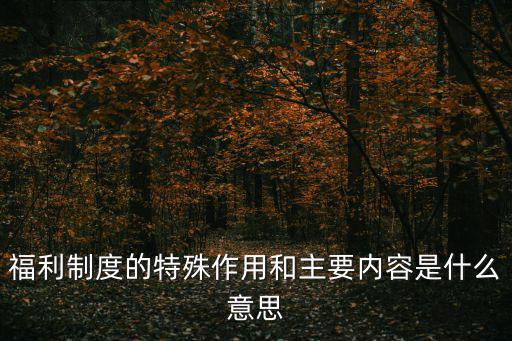 福利制度,未辦理社會保險登記可自行核定其應繳納的保險費