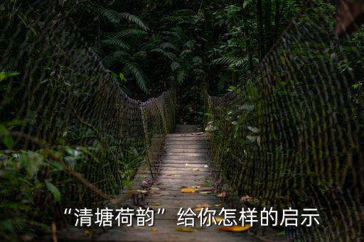 清塘荷韻,荷塘里的蓮子