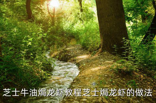 芝士牛油焗龍蝦教程芝士焗龍蝦的做法