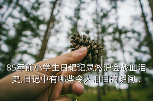 血淚歷史,85年前小學(xué)日記記錄淞滬會戰(zhàn)血淚史一文看懂