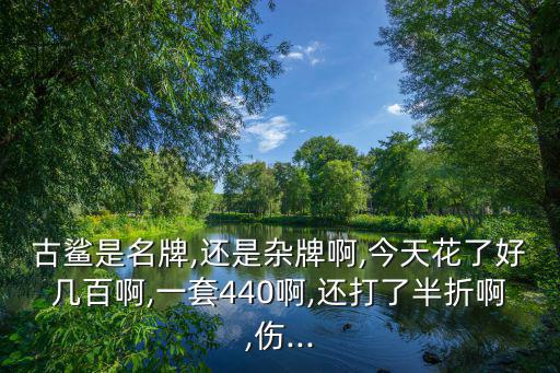 古鯊是名牌,還是雜牌啊,今天花了好幾百啊,一套440啊,還打了半折啊,傷...