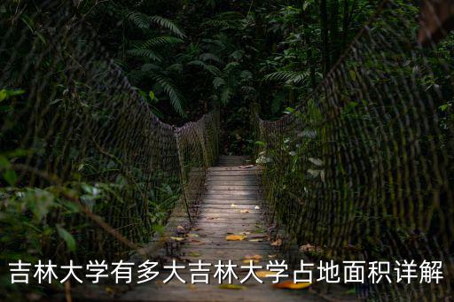 吉林大學有多大吉林大學占地面積詳解