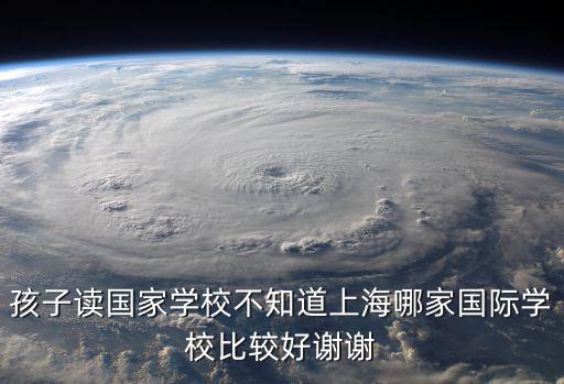 孩子讀國家學校不知道上海哪家國際學校比較好謝謝