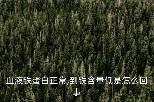 游離鐵,血液中游離鐵含量不足補鐵藥物可確診是否有效