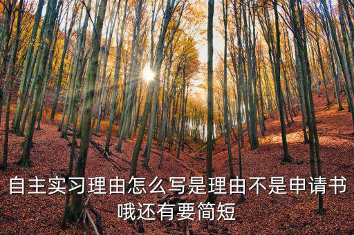 自主實習申請書，自主實習理由怎么寫是理由不是申請書哦還有要簡短