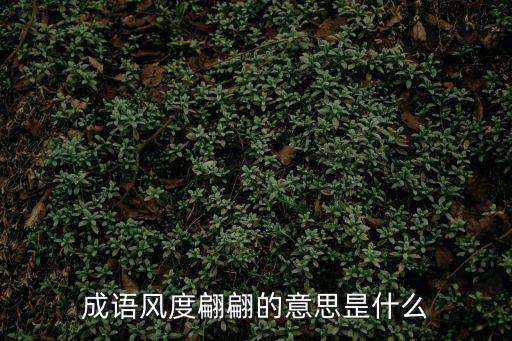 風度翩翩造句,風度翩翩的意思及造句有哪些?
