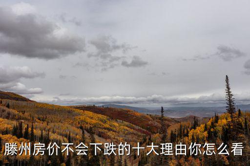 滕州房價不會下跌的十大理由你怎么看