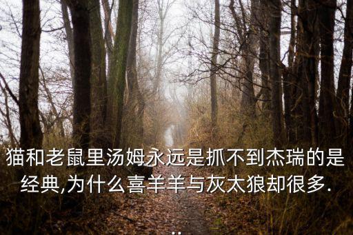 弱智吧經典語錄,《喜羊羊與灰太狼》為何抓不到杰瑞?