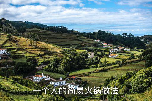 自制小火鍋,自制簡易火鍋料怎么做好吃又衛(wèi)生