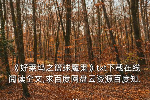好萊塢之籃球魔鬼,【好萊塢之籃球魔鬼》txt最新全集下載