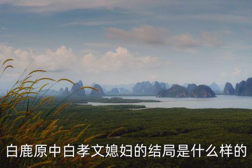 白鹿原白孝文結局,《白鹿原》結局如何分析?