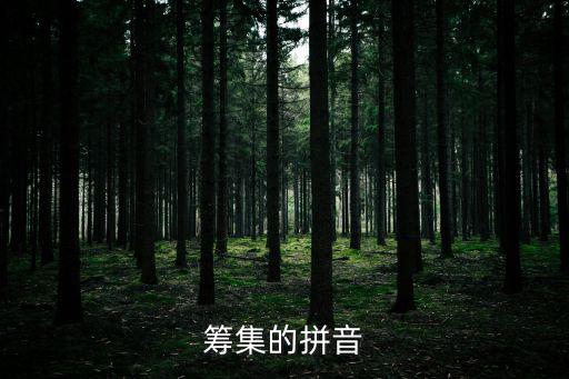 籌措,茅盾《豐收》三:商會籌措五百擔米去分表資金籌措內容