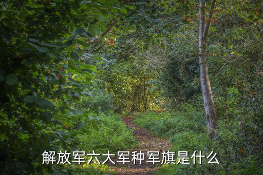 解放軍六大軍種軍旗是什么