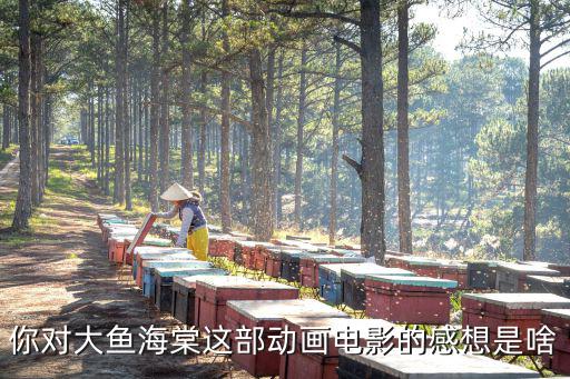 大魚海棠觀后感，你對大魚海棠這部動畫電影的感想是啥