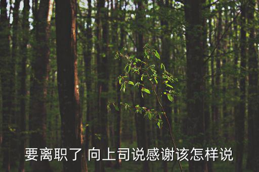 要離職了 向上司說感謝該怎樣說